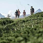 Eine Familie wandert auf einem grünen Hügel mit Bergen im Hintergrund.