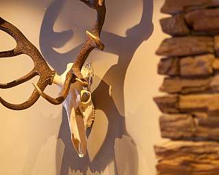 Ein Geweih und ein Schädel hängen an einer Wand.