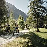 Zwei Personen fahren mit Mountainbikes auf einem Schotterweg durch die Natur.