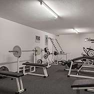Ein Fitnessraum mit verschiedenen Trainingsgeräten und Gewichten.
